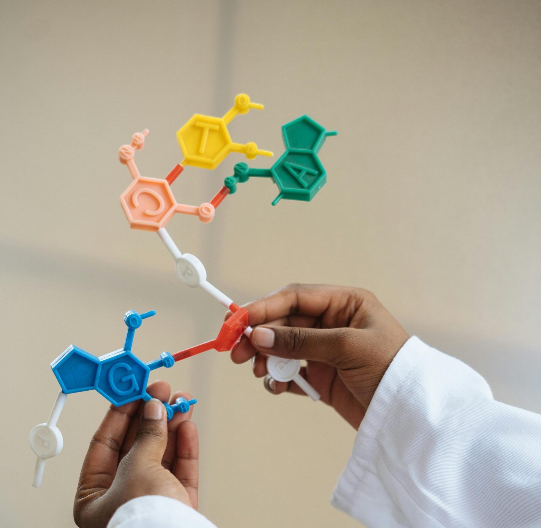 Close-up of a scientist's hands holding a colorful molecular model in a lab setting.